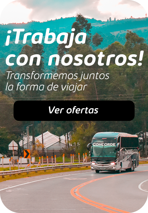 Imagen en dispositivos móviles